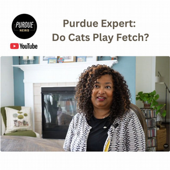 Screen shot of Dr. Croney being interviewed